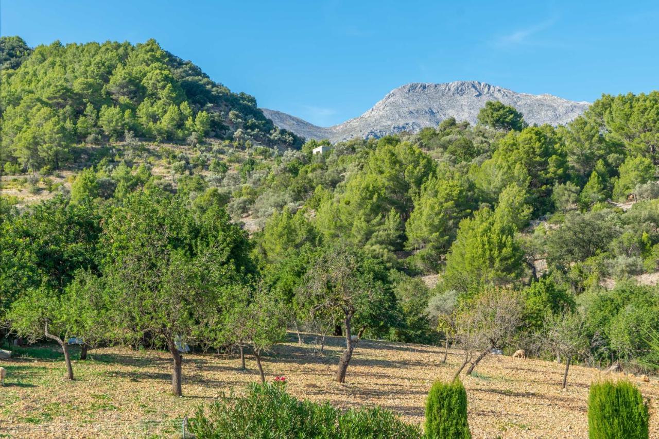 Villa Sa Tanca De Sa Nina Mancor del Valle